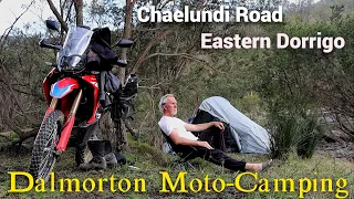 Solo moto camping - Dalmorton - CRF 300 Rally