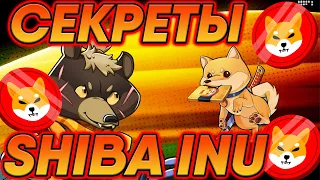 SHIBA INU РАЛЛИ УЖЕ СКОРО! КУСАМЕ РАССКРОЕТ ВСЕ СЕКРЕТЫ О БУДУЩЕМ SHIBA INU!