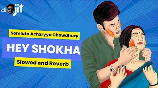 Hey Shokha (হে সখা) Slowed & Reverb | DJ OJIT | Rabindrasangeet | Somlata | Arindom | Anushka