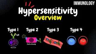 Hypersensitivity Reactions - Type 1, 2, 3, 4 | Immunology