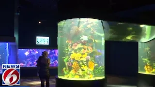 Daytona Aquarium and Rainforest Adventure opens