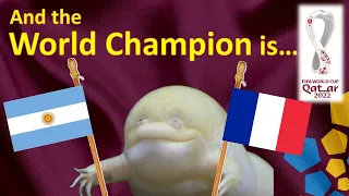 World Cup 2022 Predictions ⚽ Argentina vs France 🐸 The Guessing Frog | The FINAL