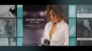Presentation The Icon awards BBMa 2016 Celine Dion