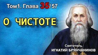 ТОМ 1. ГЛАВА 35. - "О чистоте". Святитель Игнатий (Брянчанинов)