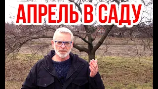 Садовые работы в апреле / Игорь Билевич