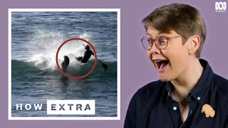 Hardcore Wild Animal Moments Caught On Camera | REACTION | How Extra | ABC Science