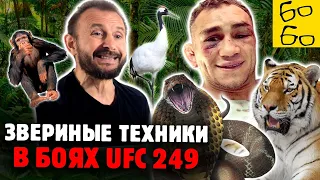 ПОЧЕМУ ФЕРГЮСОН ПРОИГРАЛ, а Нганну и Сехудо победили? Разбор боев UFC 249 от Михаила Клименченко