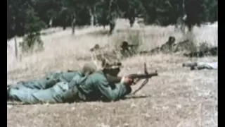 M79 40mm Grenade Launcher