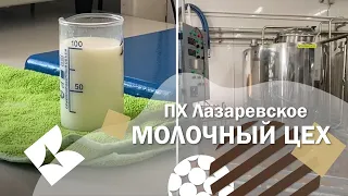 ПХ Лазаревское - Молочный цех