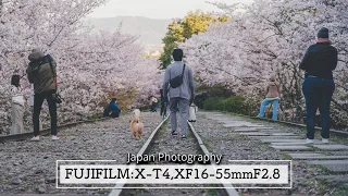 Japan Street Photography in kyoto - Fujifilm X-T4 + XF16-55mmF2.8 R LM WR (Vol.44)