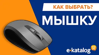 Как выбрать мышку, различия между игровой, обычной и мышкой для ноутбука.