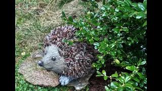 DIY. Stone hedgehog.