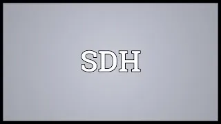 SDH Meaning