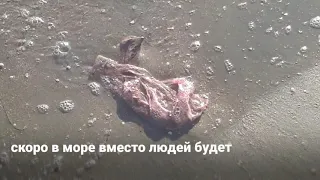 Центральный пляж Бердянска/  Ecological disaster