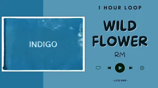 [NO ADS - 1 HOUR] RM of BTS - WILD FLOWER