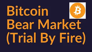 Bitcoin Bear Market (Trial By Fire)