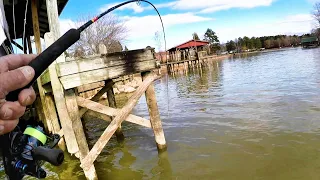 How To MAKE Crappie Bite!!! Crappie Fishing With A Jig