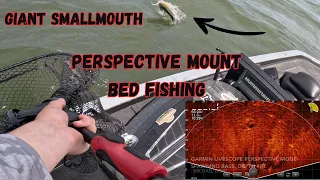 Smallmouth Bed Fishing using Perspective Mount (Kentucky Lake Bassmaster College Open)