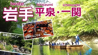 【岩手旅行vlog】世界遺産だけじゃない！絶景とグルメと癒しの旅♪厳美渓｜空飛ぶだんご｜達谷窟毘沙門堂｜毛越寺｜中尊寺｜猊鼻渓舟下り［みちのく1泊2日の旅day2］