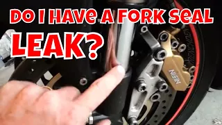 motorcycle fork seal leak. How? What to look for?