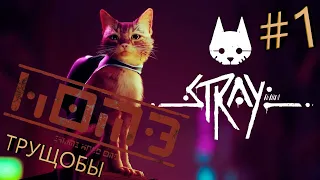 Прохождение Stray #1