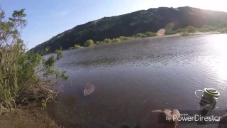 SHORE FISHING COYOTE LAKE BASS AND BIG CARP #GOPRO