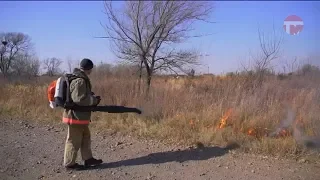 В пригороде Уссурийска выжигают траву