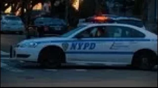 Children find woman's burned body in woods on Staten Island