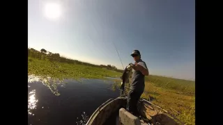 Punching the California Delta