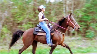 Big Blowout Onsight Riders Trail Ride in Douglassville, Texas