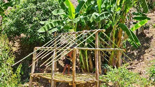 Building a bamboo stilt house on a new piece of land, raising livestock and farming Ep.1 | K' Quang