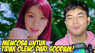 OLENG GA YAA?!! - SECRET NUMBER - STARLIGHT [MV] Reaction