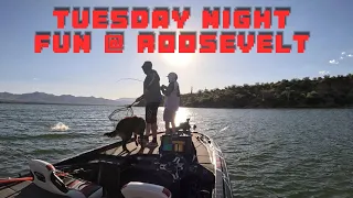 Tuesday Night Fun @ Roosevelt