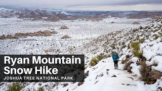 Ryan Mountain Snow Hike in Joshua Tree National Park