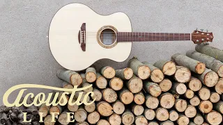 Musicwood: A MUST See For Every Acoustic Guitar Geek  ★ Acoustic Tuesday #AT110