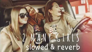 2 MANY GIRLS- [Slowed + Reverb] -FAZILPURIA. FEAT-BADSHAH  | Punjabi Song |