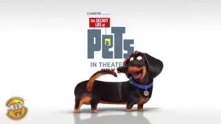 Meet Buddy - The Secret Life of Pets