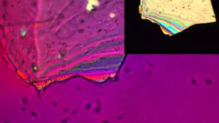 Earth Optics: Fast & Slow Ray V3Q3