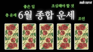 [타로] “꼭 들어맞는” 🌹 6월 종합 운세 (feat. 6월 총 운세, 좋은 일(행운), 조심해야 할 것, 조언)