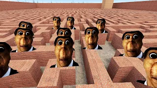 OBUNGA CHASES US IN THE LABYRINTH, OBUNGA NEXTBOT Garry's Mod