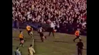 Balmain Tigers 1969 Grand Final Tigers v  Souths