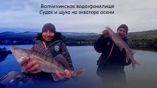 Волчихинское водохранилище/Судак и щука на экваторе осени/15.10.2022