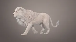 Pejoy - White Lion - Making Of