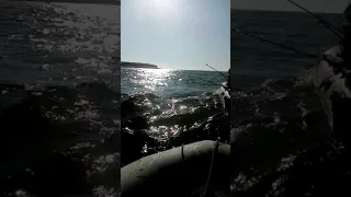 Fishing to Shardara. Рыбалка на Шардаре .