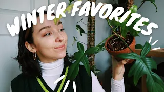 HOUSEPLANT FAVORITES | winter 2021❄️