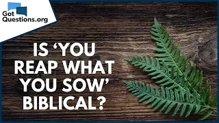 Is ‘you reap what you sow’ biblical? | GotQuestions.org