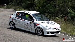Luis Vega - Fernando Herrero | Rallysprint de Cartes 2022 | Peugeot 206 XS