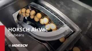 HORSCH Maestro AirVac - Sojabohnen - Soybeans