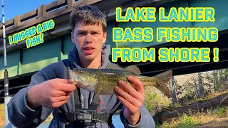 LAKE LANIER BASS FISHING FROM SHORE!