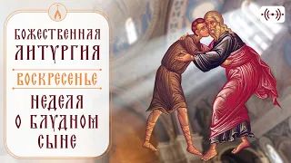 БОЖЕСТВЕННАЯ ЛИТУРГИЯ. АКАФИСТ. Трансляция богослужения 12 февраля (воскресенье) в 8:40